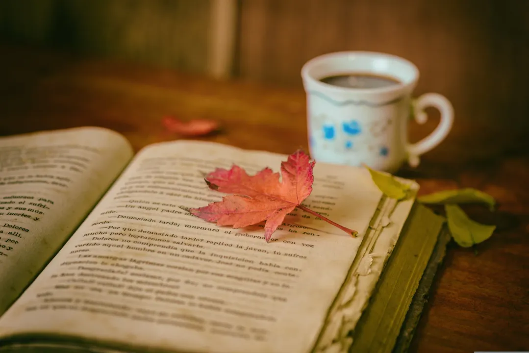 5 letture autunnali